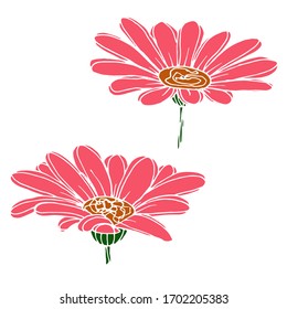 Vector drawing of gerbera flowers. Nature. Sketch, illustration.