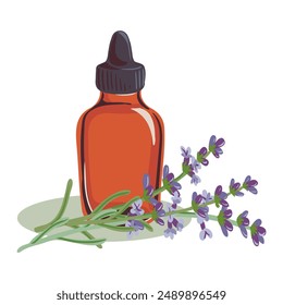 vector drawing glass bottle with essential oil and plant of lavender isolated at white background, hand drawn illustration