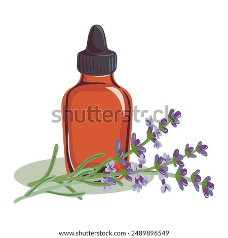 vector drawing glass bottle with essential oil and plant of lavender isolated at white background, hand drawn illustration