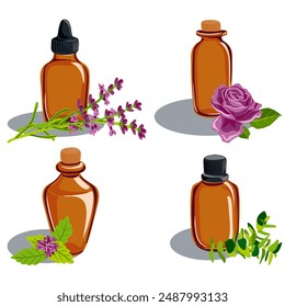Vector que dibuja botellas de vidrio con aceite esencial y plantas, menta, eucalipto, lavanda y flor de rosa, aislado en fondo blanco, ilustración dibujada a mano