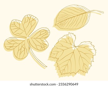 
Vector drawing. Gold leaves. Leaves in vector