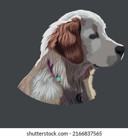 Vektorgrafik des Golden Retrieve Hundes.