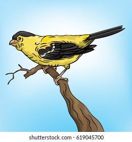 Vector drawing of a  Goldfinch. Easy to edit layers and groups, mesh only used in the background bird uses just simple colors. No effects used. 