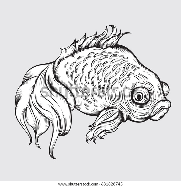 Vector Drawing Goldfish Line Art Easy Stock Vector (Royalty Free ...