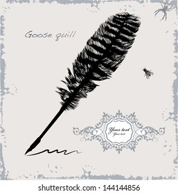 Vector drawing of a goose quill on white background. Hand draw.