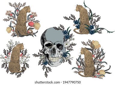 Vector drawing graphics, skull, leopard and flowers.