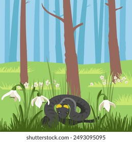 vector drawing grass snake in green spring forest with trees and flowers of snowdrops, hand drawn background , cartoon style backdrop