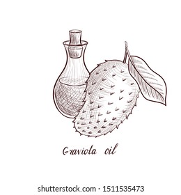 vector drawing graviola oil, bottle of vegetable oil and soursop, hand drawn illustration