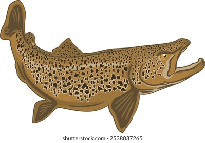 Dibujo de Vector de una gran trucha marrón. Esta Imagen es buena para los gráficos relacionados con la pesca u otros.