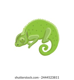 Vector dibujando camaleón verde aislado en fondo blanco, ilustración dibujada a mano