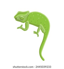 Vector dibujando camaleón verde aislado en fondo blanco, ilustración dibujada a mano
