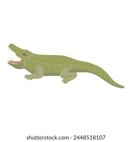 vector drawing green crocodile isolated at white background, hand drawn illustration