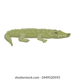 Vektorgrafik Zeichnung grünes Krokodil isoliert auf weißem Hintergrund, handgezeichnete Illustration
