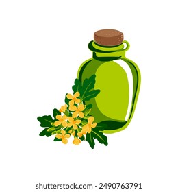 Vector drawing green glass bottle and yellow flowers of canola isolated at white background,rapeseed oil, colza, hand drawn illustration