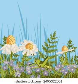 vector drawing green grass, chamomile and forget-me-not flowers and grasshopper at blue sky background, hand drawn illustration