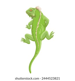 vector drawing green iguana isolated at white background, hand drawn illustration