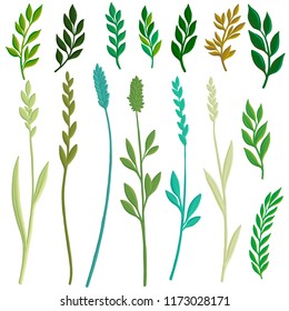 vector drawing green leaves, grass and spikelets, isolated at white background, hand drawn illustration