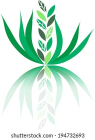 Vector drawing of a green plant - eco concept background