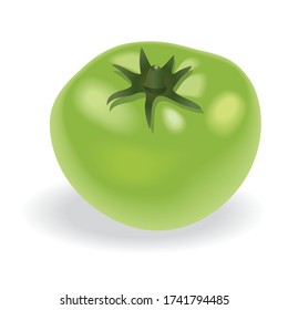 Vector drawing of green tomato. Scalable tomato for any format.