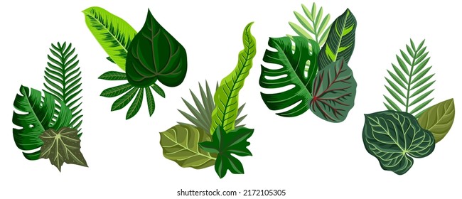 vector drawing green tropical leaves isolated at white background , hand drawn illustration