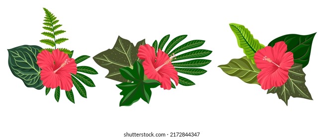 dibujo vectorial hojas tropicales verdes y flores de hibiscos rojos, composición floral, elementos de diseño exótico aislados en fondo blanco , ilustración dibujada a mano