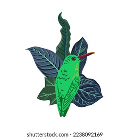 vector drawing green tropical leaves and hummingbird isolated at white background , hand drawn illustration