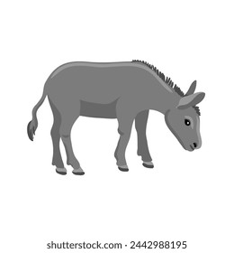 vector drawing grey donkey, farm animal isolated at white background, hand drawn illustration