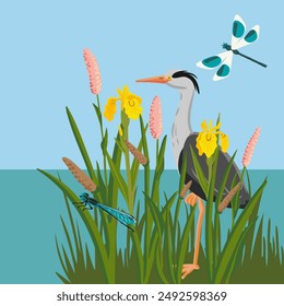 Vector dibujado garza gris, flores y libélulas, pájaro silvestre, insectos y plantas en el agua azul y fondo del cielo, ilustración dibujada a mano, paisaje natural