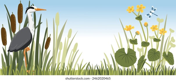 vector drawing grey heron and marsh plants and flowers, wild bird, dragonflies and lesser bulrush, narrowleaf cattail, hand drawn illustration