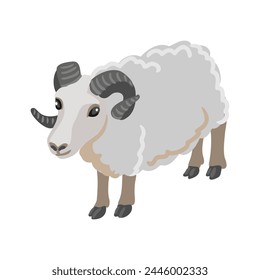 vector drawing grey sheep, farm animal isolated at white background, hand drawn illustration