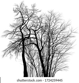 dibujo vectorial de un grupo de acacias cerca