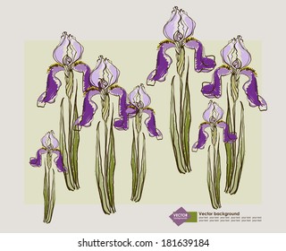 Vector drawing of a group of flowers irises