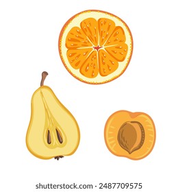 vector drawing halfs of orange fruit, pear and apricot whole and half isolated at white background, hand drawn illustration