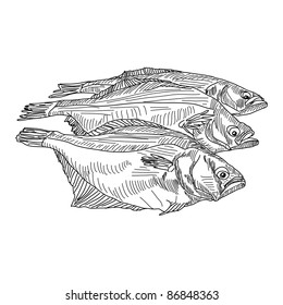 vector drawing hand fish