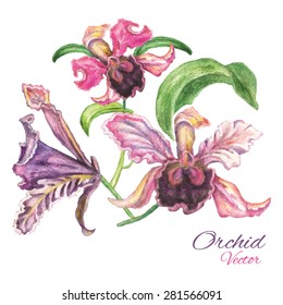 Vector drawing of the hand with the image of a bouquet of orchids