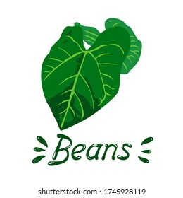 Vector dibujando arbusto de frijol hecho a mano sobre un fondo blanco aislado. Bean sale plano, dibujos animados. Registro de tarjetas, menús, banners, impresión en tela, portadas