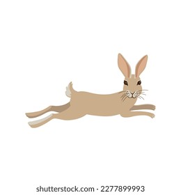 vector drawing hare, jumping rabbit, hand drawn animal isolated at white background , cartoon style character