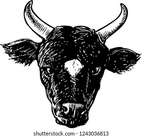 Vector drawing of the head of a black bull