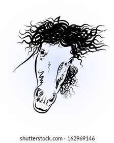 The vector drawing of head of a horse. Year of the horse.