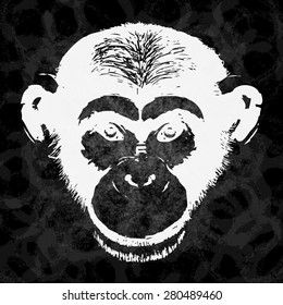 Vector drawing, the head of a monkey, chimpanzee, on chalk board, grunge. Chinese new year symbol. 