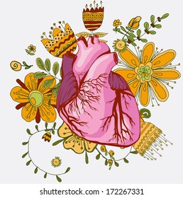 Vector drawing of the heart, anatomical with decorative elements