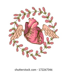 Vector drawing of the heart, anatomical with decorative elements