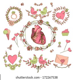 Vector drawing of the heart, anatomical with decorative elements