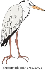 Dibujo vectorial de una garza aislada en un fondo blanco para imprimir en ropa, logotipo, icono, tiendas, prendas de vestir, libros, revistas