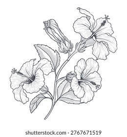 Vector dibujando la flor
