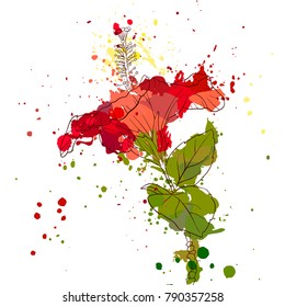 vector drawing hibiscus flower and paint stains, hand drawn illustration