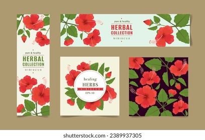 Vector drawing of Hibiscus. Isolated flower and leaves banners set. Detailed botanical sketch for tea label, organic cosmetics, medicine, aromatherapy