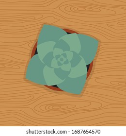 Vector drawing of a home plant on a wooden background. Flat illustration of a succulent in a pot stands on a wooden table.