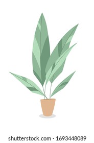 Dibujo vectorial de una planta doméstica en una olla.
