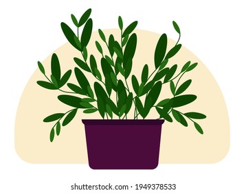 Vector Drawing Of A Home Potted Plant. Tall Plant With Trunks And Large Green Leaves.